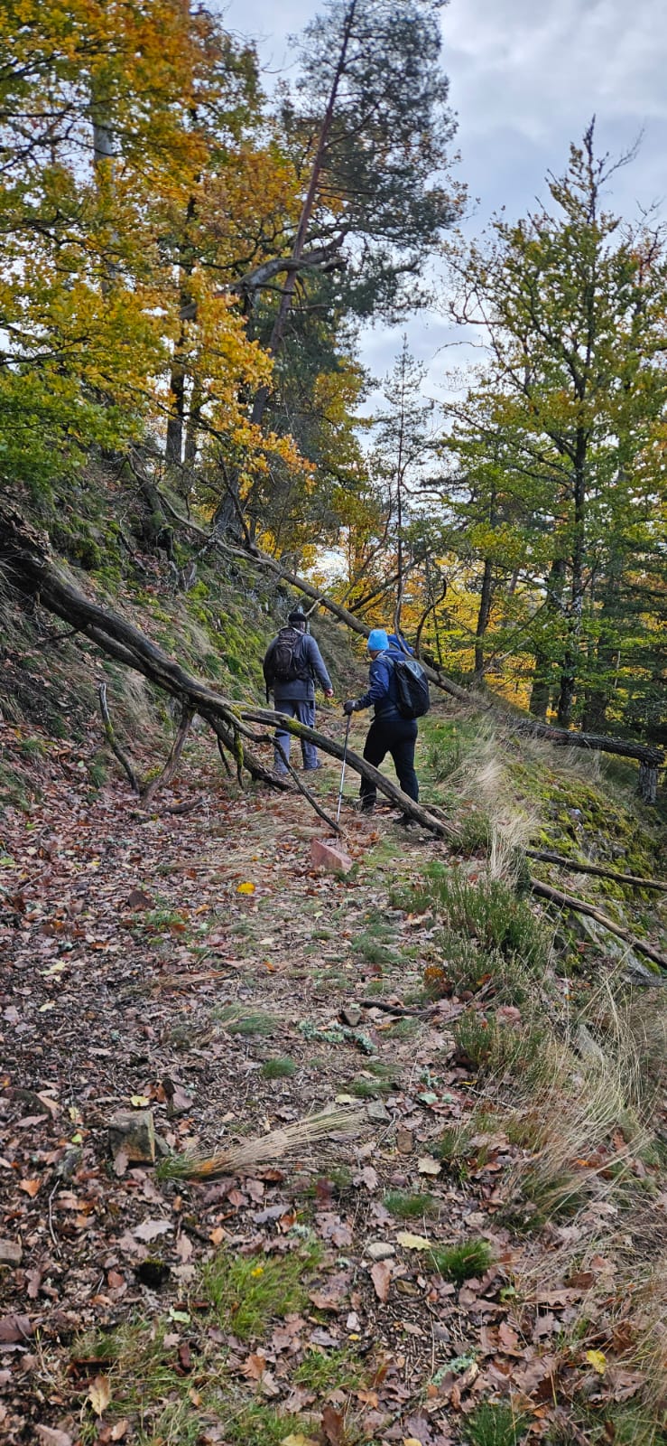 20251027 vfb ah wanderung riedern sonntag07