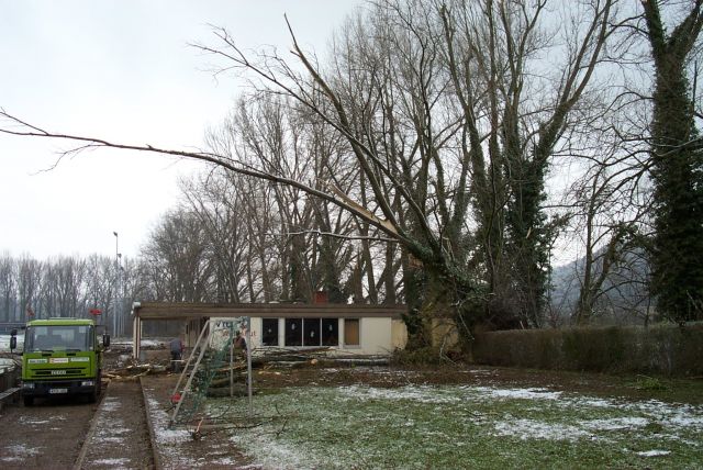 Garage wurde verschoben.
In Richtung zum Camping-Platz hin fiel der Baum auf die Getränkegarage und verschob diese sogar.
