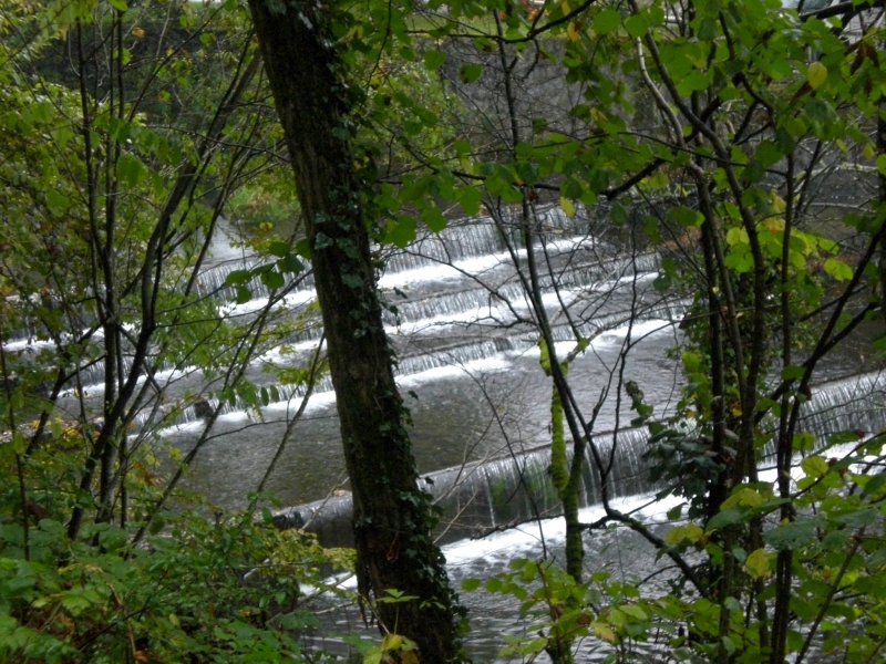 Letzter Blick auf die Wiese bei Schopfheim
Danach ginges langsam aber sicher höher in die Wälder.
