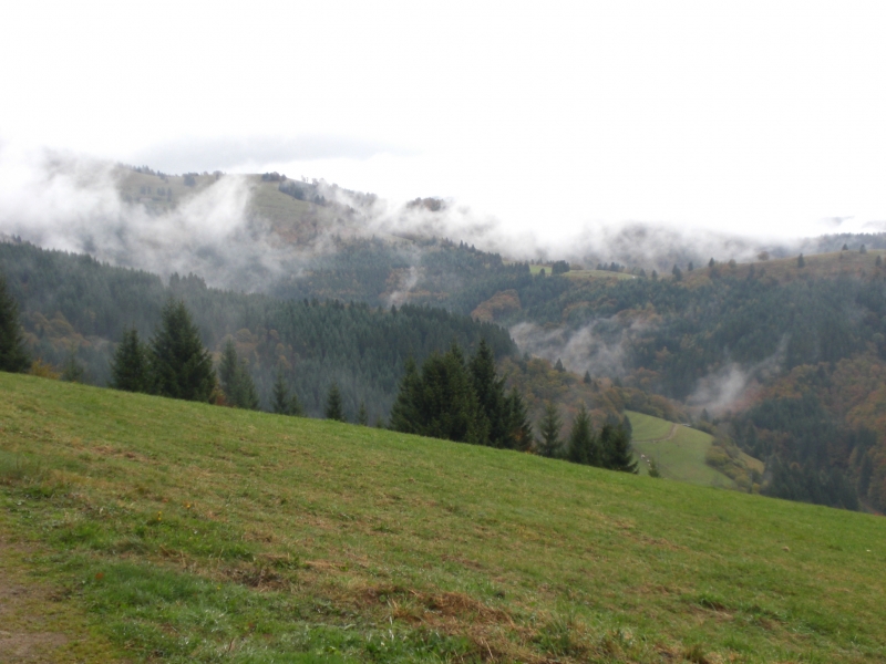 Nach Stunden im Wald
kamen wir kurz vor Neueweg an eine Lichtung. Die Nebelschwaden gaben kurz den Blick teilweise auf die Umgebung frei.
