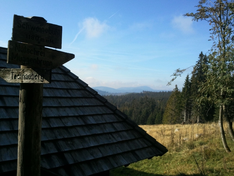 Aussicht zum Belchen
Im Hintergrund ist der Belchen zu erkennen. Unser Wanderziel vom vergangenen Jahr.
