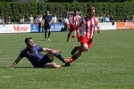 8704463_m3w700h500v24644_140524_vfb_waldshut_02.jpg