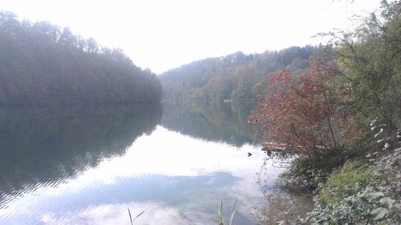 Der Rhein nach Rheinau
Schönes, ruhiges Herbstwetter am Samstag. Optimal zum Wandern. Am Sonntag wurde es noch bessern.
